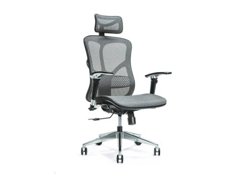 Ergonomiczny fotel biurowy ERGO 500 szary Ergonomiczny fotel biurowy ERGO 500 szary