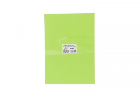 Papier kolorowy Protos limonka A4 zielony 160g Papier kolorowy Protos limonka A4 zielony 160g
