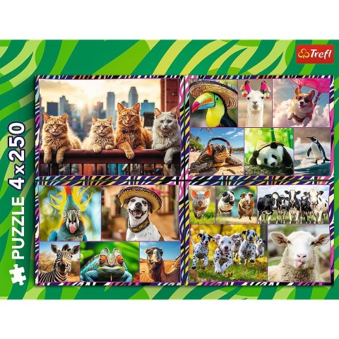 Puzzle Trefl zwierzaki 4x250 el. (13313) Puzzle Trefl zwierzaki 4x250 el. (13313)