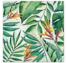 Serwetki Paw Tropical Garden (TL705800)