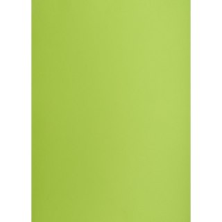 Brystol TOP-2000 A1 jasnozielony 160g 1k [mm:] 610x860