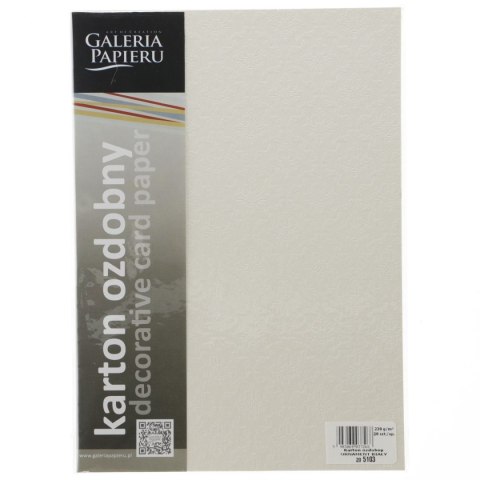 Papier ozdobny (wizytówkowy) Galeria Papieru ornament biały 230g 20 arkuszy A4 biały 230g (205103) Papier ozdobny (wizytówkowy) Galeria Papieru ornament biały 230g 20 arkuszy A4 biały 230g (205103)