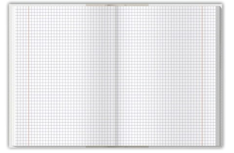 Brulion Top 2000 colors niebieski A4 192k. 70g krata (400169206) Brulion Top 2000 colors niebieski A4 192k. 70g krata (400169206)