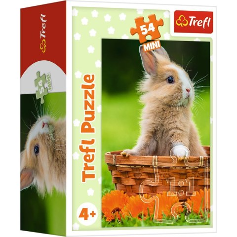 Puzzle Trefl Urocze zwierzątka 54 el. (54195) Puzzle Trefl Urocze zwierzątka 54 el. (54195)