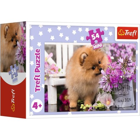 Puzzle Trefl Urocze zwierzątka 54 el. (54195) Puzzle Trefl Urocze zwierzątka 54 el. (54195)