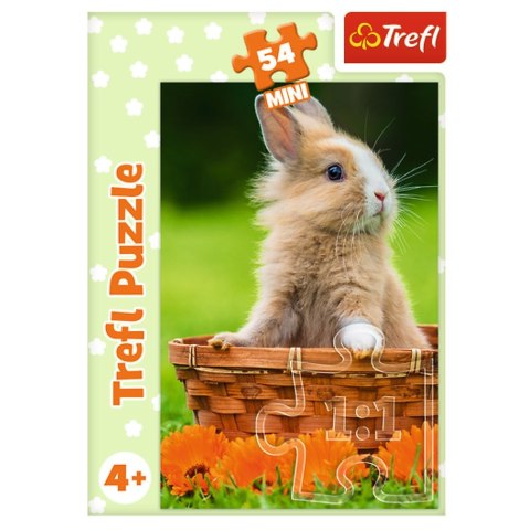 Puzzle Trefl Urocze zwierzątka 54 el. (54195) Puzzle Trefl Urocze zwierzątka 54 el. (54195)