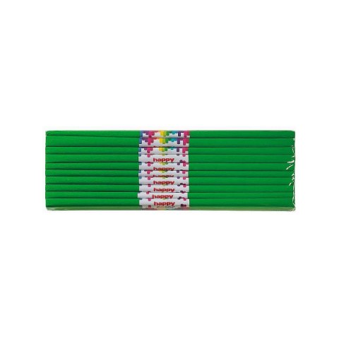 Bibuła marszczona Happy Color zielona 500mm x 2000mm (HA 3640 5020-5) Bibuła marszczona Happy Color zielona 500mm x 2000mm (HA 3640 5020-5)