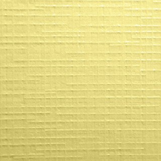 Papier ozdobny (wizytówkowy) Protos krateczka krem A4 kremowy 246g