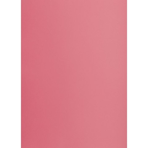 Brystol TOP-2000 A3 różowy 160g 25k [mm:] 297x420 (400150232)