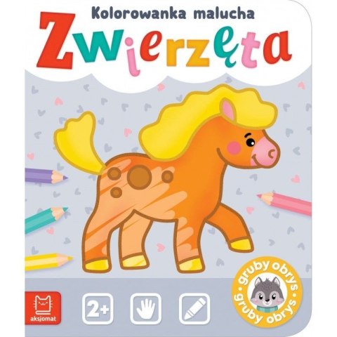 Książeczka edukacyjna Aksjomat Zwierzęta. Kolorowanka malucha Książeczka edukacyjna Aksjomat Zwierzęta. Kolorowanka malucha