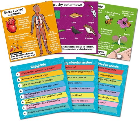 Gra edukacyjna Rebel BrainBox-Nauka (Science) (5902650618053) Gra edukacyjna Rebel BrainBox-Nauka (Science) (5902650618053)