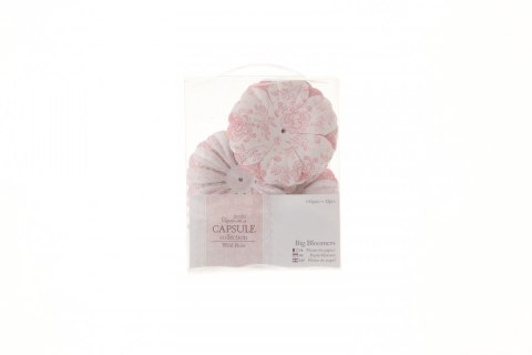 Ozdoba papierowa Papiermania płatki papierowe capsule wild rose duże 32 szt. (pma-157236) Ozdoba papierowa Papiermania płatki papierowe capsule wild rose duże 32 szt. (pma-157236)