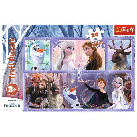 Puzzle Trefl Świat pełen magii 24 el. (14345) Puzzle Trefl Świat pełen magii 24 el. (14345)