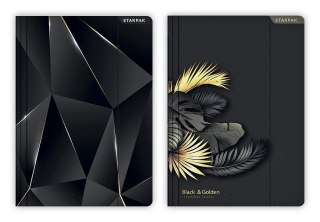 Teczka kartonowa na gumkę A4 Starpak (470871)