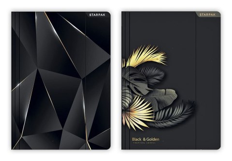 Teczka kartonowa na gumkę A4 Starpak (470871)