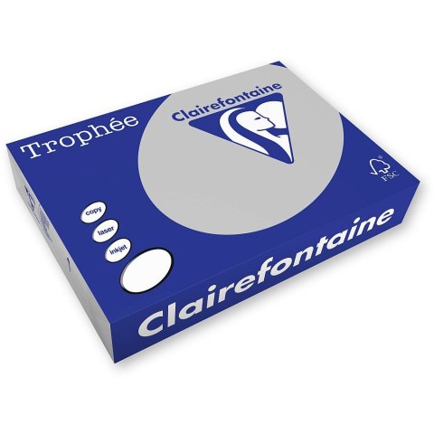 Papier kolorowy Trophee kolorowy A4 patelowy szary 160g (xca41009) Papier kolorowy Trophee kolorowy A4 patelowy szary 160g (xca41009)