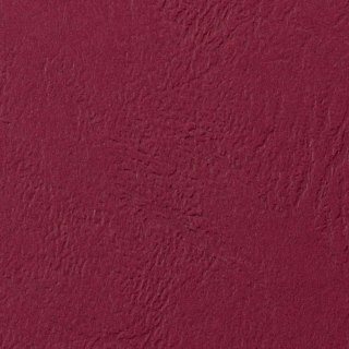 Karton do bindowania Argo delta A4 czerwony 250g (407041)