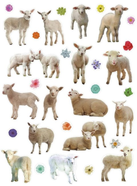 Naklejka (nalepka) Titanum Craft-Fun Series Sheep Naklejka (nalepka) Titanum Craft-Fun Series Sheep