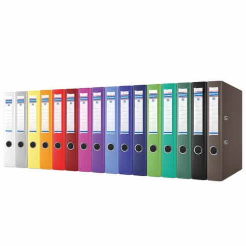 Segregator dźwigniowy Donau Master A4 50mm zielony jasny (3950001PL-41)