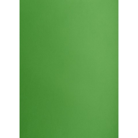 Brystol Creatinio ZIELONY B2 Zielony 225g 25k (400150338) Brystol Creatinio ZIELONY B2 Zielony 225g 25k (400150338)