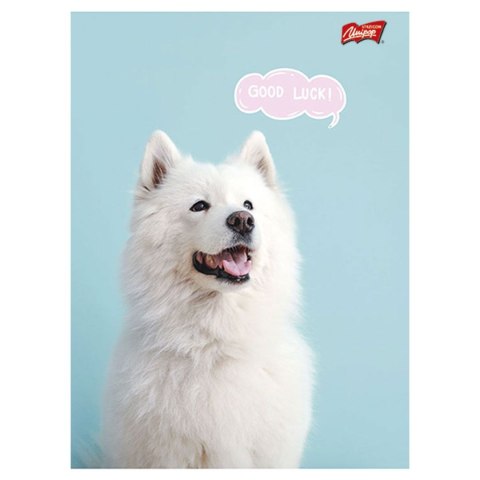 Zeszyt Unipap Mix A5 32k. linia [mm:] 148x210
