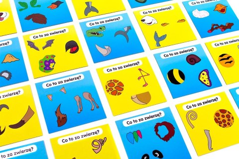 Gra edukacyjna Rebel BrainBox poznaję zwierzęta (5902650616684) Gra edukacyjna Rebel BrainBox poznaję zwierzęta (5902650616684)