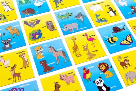 Gra edukacyjna Rebel BrainBox poznaję zwierzęta (5902650616684) Gra edukacyjna Rebel BrainBox poznaję zwierzęta (5902650616684)