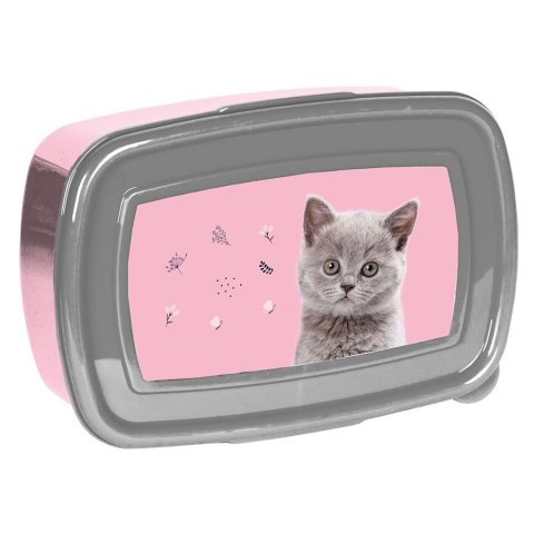 Śniadaniówka Paso (PP24CT-3022) Śniadaniówka Paso (PP24CT-3022)