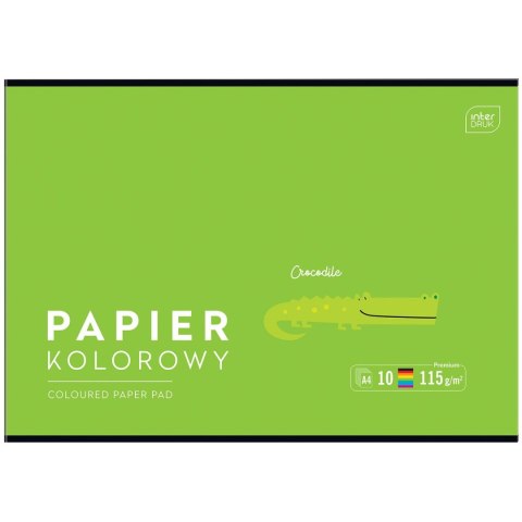Zeszyt papierów kolorowych Interdruk B&B KIDS A4/10 5902277328632 A4 115g 10k (115g)