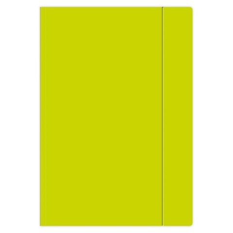 Teczka kartonowa na gumkę A4+ limonkowa Interdruk (TEGUFLUOL) Teczka kartonowa na gumkę A4+ limonkowa Interdruk (TEGUFLUOL)