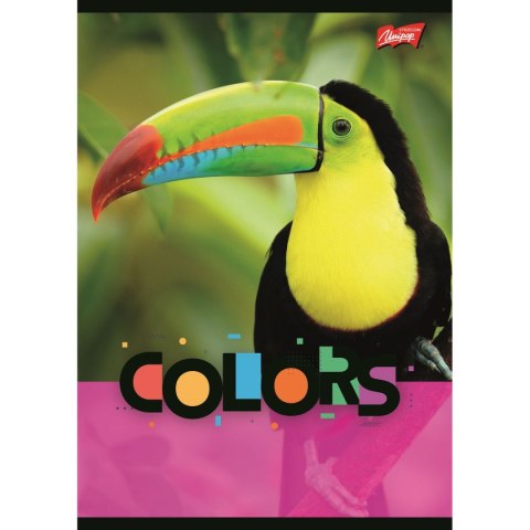Zeszyt Unipap Exotic colors A5 32k. linia Zeszyt Unipap Exotic colors A5 32k. linia