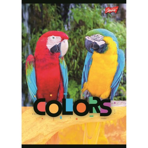 Zeszyt Unipap Exotic colors A5 32k. linia Zeszyt Unipap Exotic colors A5 32k. linia