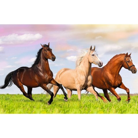 Puzzle Trefl Świat Koni 54 el. (54193) Puzzle Trefl Świat Koni 54 el. (54193)