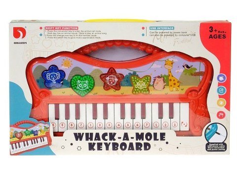 Organy Adar zwierzątka, ładowarka USB (570597) Organy Adar zwierzątka, ładowarka USB (570597)