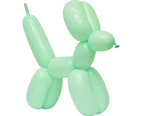 Balon gumowy Godan do modelowania Beauty&Charm, makaronowe j. zielone 50 szt. zielony (CB-MKZI) Balon gumowy Godan do modelowania Beauty&Charm, makaronowe j. zielone 50 szt. zielony (CB-MKZI)