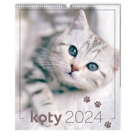 Kalendarz ścienny 5902277338006 Interdruk 335x400 wieloplanszowy 335mm x 400mm (Koty) Kalendarz ścienny 5902277338006 Interdruk 335x400 wieloplanszowy 335mm x 400mm (Koty)