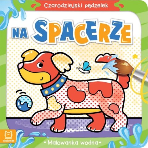 Książeczka edukacyjna Aksjomat Czarodziejski pędzelek. Na spacerze. Malowanka wodna Książeczka edukacyjna Aksjomat Czarodziejski pędzelek. Na spacerze. Malowanka wodna