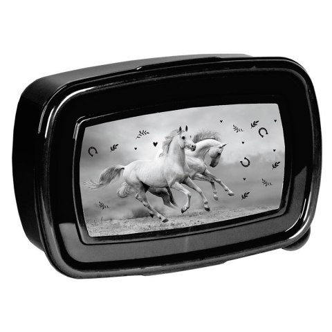 Śniadaniówka Paso (PP24KE-3022) Śniadaniówka Paso (PP24KE-3022)