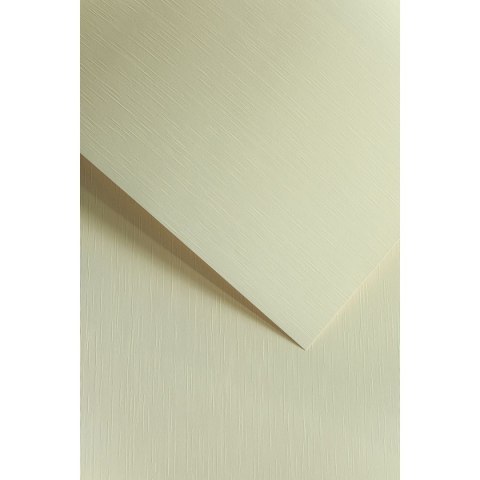 Papier ozdobny (wizytówkowy) Galeria Papieru batyst kremowy A4 kremowy 180g (204112) Papier ozdobny (wizytówkowy) Galeria Papieru batyst kremowy A4 kremowy 180g (204112)