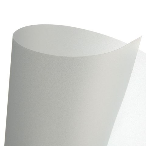 Arkusz strukturalny Canson ark. polipropylenowy natural (691-850) Arkusz strukturalny Canson ark. polipropylenowy natural (691-850)