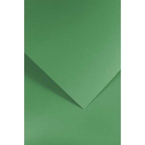 Papier ozdobny (wizytówkowy) Galeria Papieru gładki zielony A4 zielony 210g (205512) Papier ozdobny (wizytówkowy) Galeria Papieru gładki zielony A4 zielony 210g (205512)