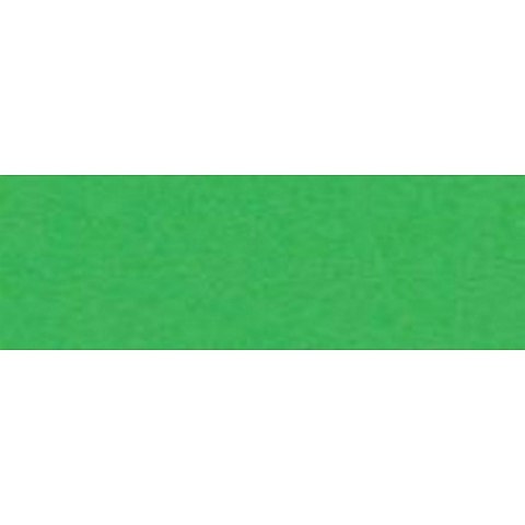 Papier kolorowy Happy Color Joy A4 zielony 160g (2130-5) Papier kolorowy Happy Color Joy A4 zielony 160g (2130-5)