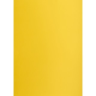 Brystol Creatinio A3 ciemnożółty 160g 25k [mm:] 297x420 (400150189)