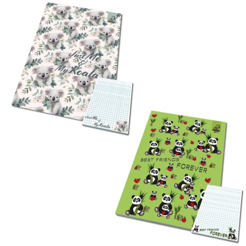 Notes Ev-corp A6 50k. krata (BB24221641) Notes Ev-corp A6 50k. krata (BB24221641)