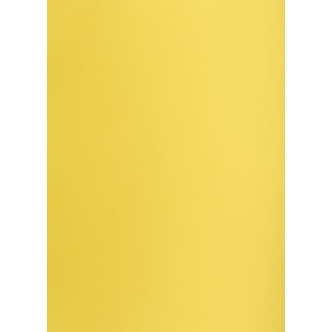 Brystol Creatinio żółty B1 żółty 225g 1k (400150264) Brystol Creatinio żółty B1 żółty 225g 1k (400150264)
