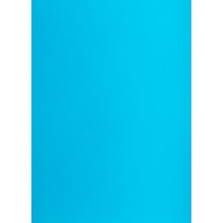 Brystol TOP-2000 jasny A1 niebieski 160g 25k [mm:] 610x860 (400149565)