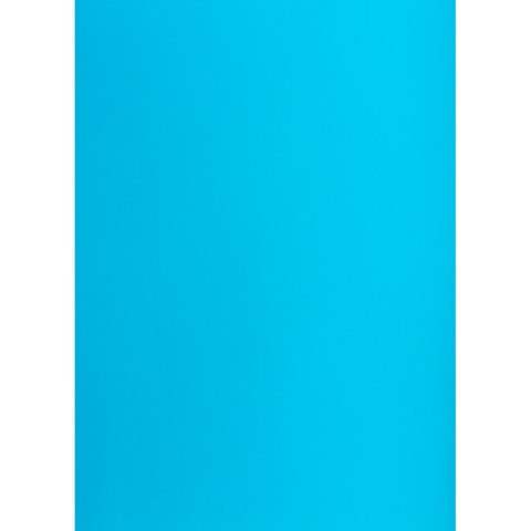 Brystol TOP-2000 jasny A1 niebieski 160g 25k [mm:] 610x860 (400149565)