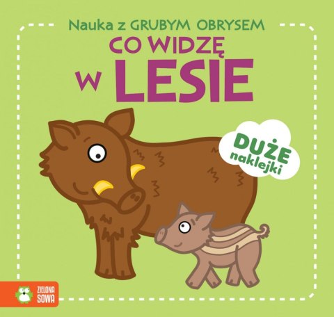 Książeczka edukacyjna Zielona Sowa Nauka z grubym obrysem. Co widzę w lesie Książeczka edukacyjna Zielona Sowa Nauka z grubym obrysem. Co widzę w lesie