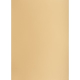 Brystol Creatinio brązowy jasny B2 225g 1k [mm:] 500x700