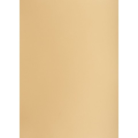 Brystol Creatinio brązowy jasny B2 225g 1k [mm:] 500x700